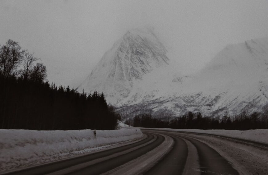 Arctic Wolf: Cybersecurity for the Frozen Frontier