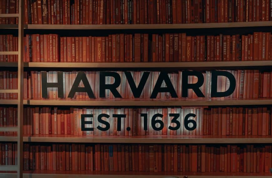 Unlocking the Potential of Deep Learning