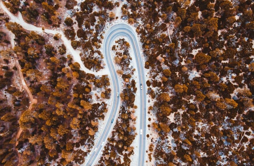 The Pitfalls of Underfitting: How It Impacts Machine Learning