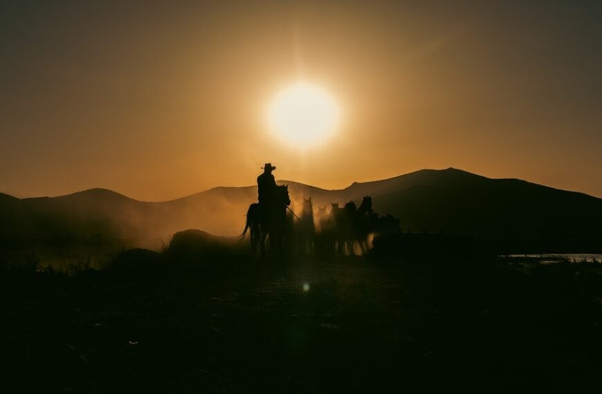 Optimizing Machine Learning Models with Regularization