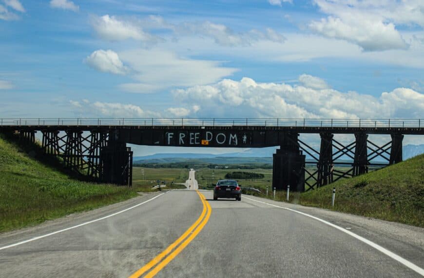 Exploring Social Media Sentiment: Understanding Online Emotions