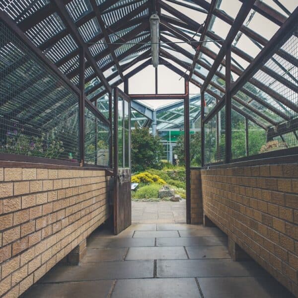 Embracing Vulnerability: The Power of Being Open