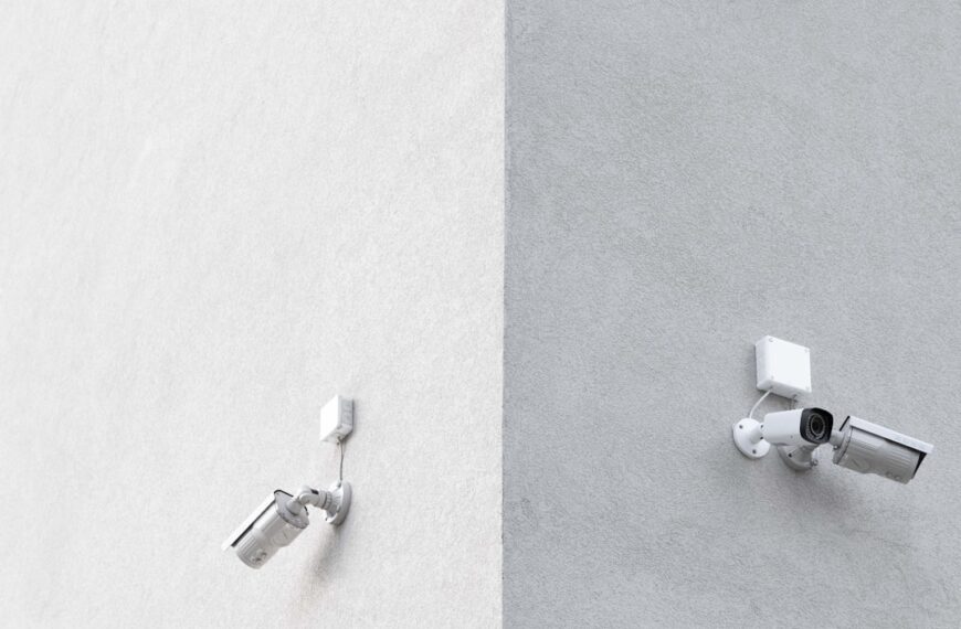 Securing Your Website with WP Vulnerability Scanner