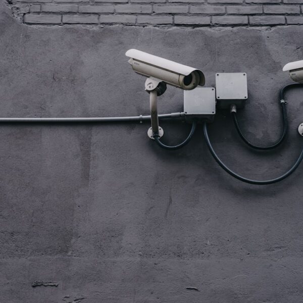 Top WordPress Security Plugins: Protect Your Site Now
