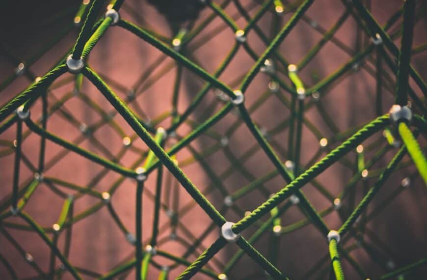 Unlocking the Potential of LeNet-5