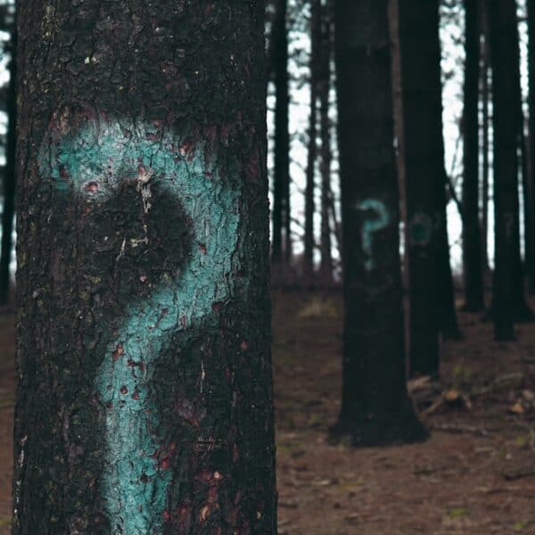 Improving Image Classification with Neural Networks