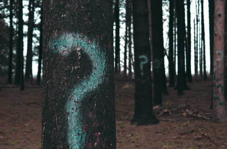 Improving Image Classification with Neural Networks