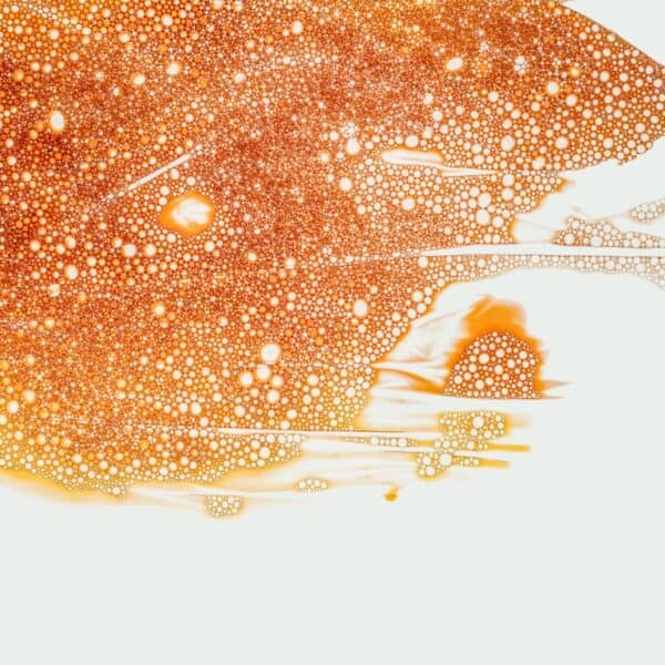 Unleashing the Power of Liquid Neural Networks