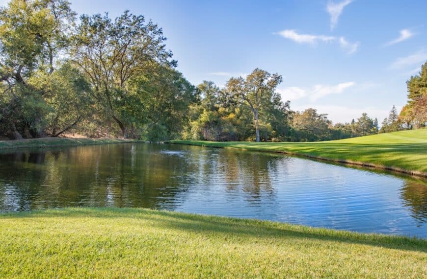 Enhancing Sentiment Analysis with TensorFlow