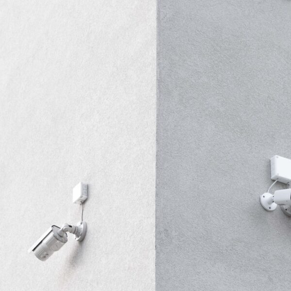 Keeping Your WordPress Site Secure: Latest Updates