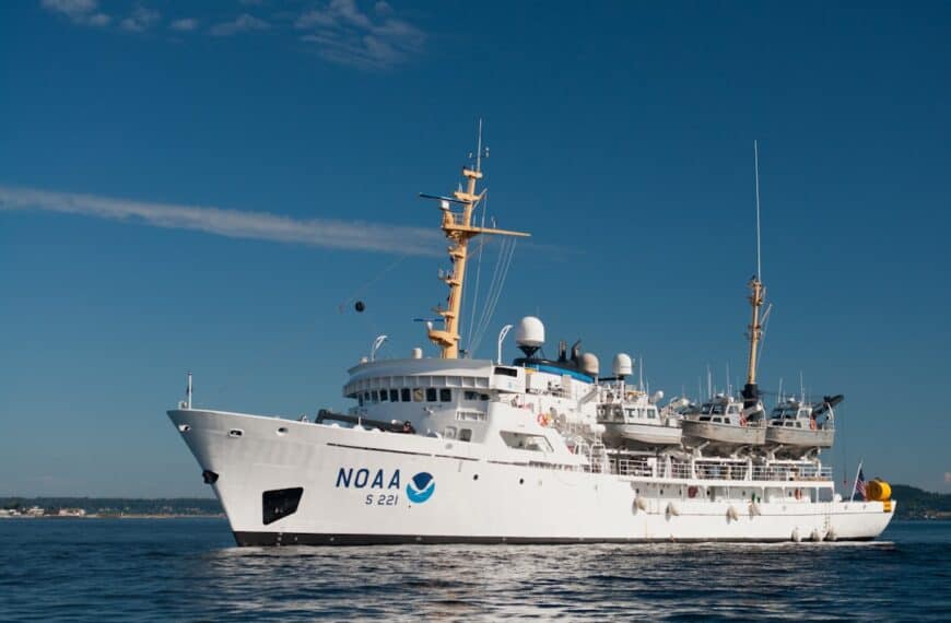 KI-gesteuerte Analyse wissenschaftlicher Forschung – KI-Systeme können wissenschaftliche Artikel analysieren und Forschern bei der Identifikation von Trends und Schlüsselerkenntnissen helfen. Anwendungsfälle: automatisierte Veröffentlichungsüberprüfung, K