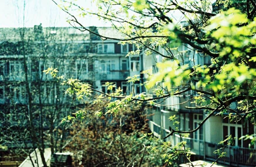 Unlocking Efficiency: Automation Anywhere’s Intelligent RPA Platform