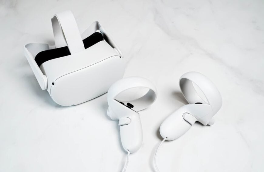 What would the philosoph Peter Singer would say about the metaverse if we ask for an interview about the metaverse. What would he or her tell us about the positive and negative aspects.