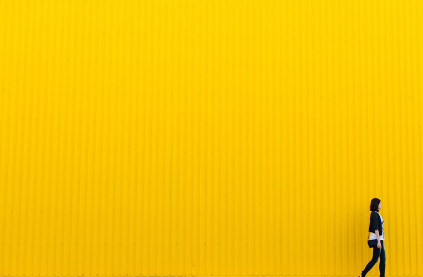 What would the philosoph Martha C. Nussbaum would say about the metaverse if we ask for an interview about the metaverse. What would he or her tell us about the positive and negative aspects.