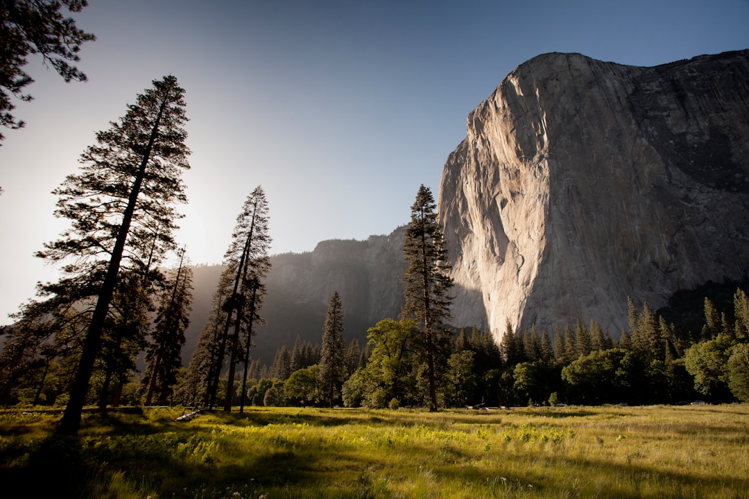 Photo Virtual reality landscape