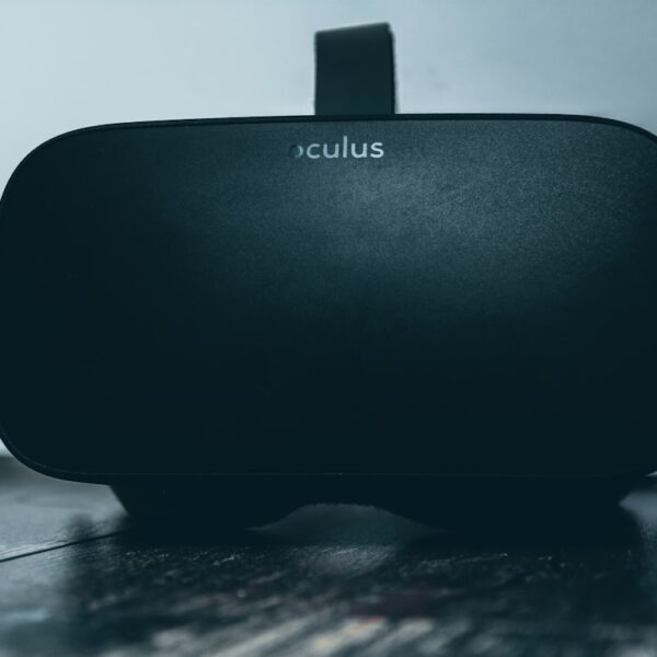 Exploring the Potential of Metaplace in Virtual Environments