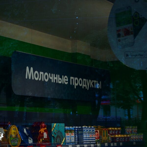 Exploring the Metaverse: Virtual World Wonders