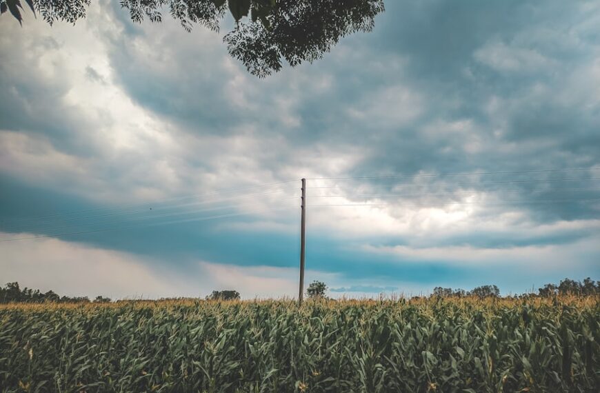 AI-based Weather Forecasting: Real-Time Weather Prediction, Extreme Weather Event Warnings & Country-Specific Agricultural Planning
