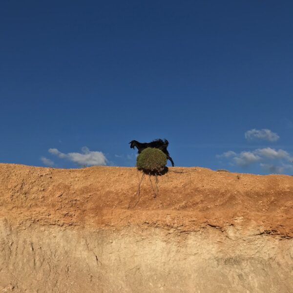 Exploring the Best VR Chat Avatar Worlds