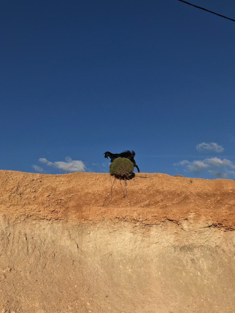 Photo Best VR chat avatar worlds