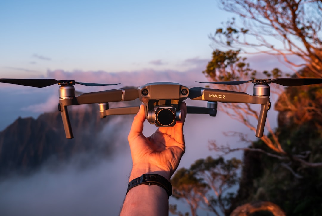 Photo Drone surveillance