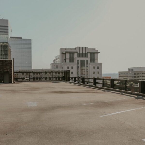 Exploring the Metaverse: Sims and Virtual Worlds