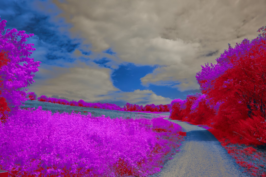 Photo Virtual landscape