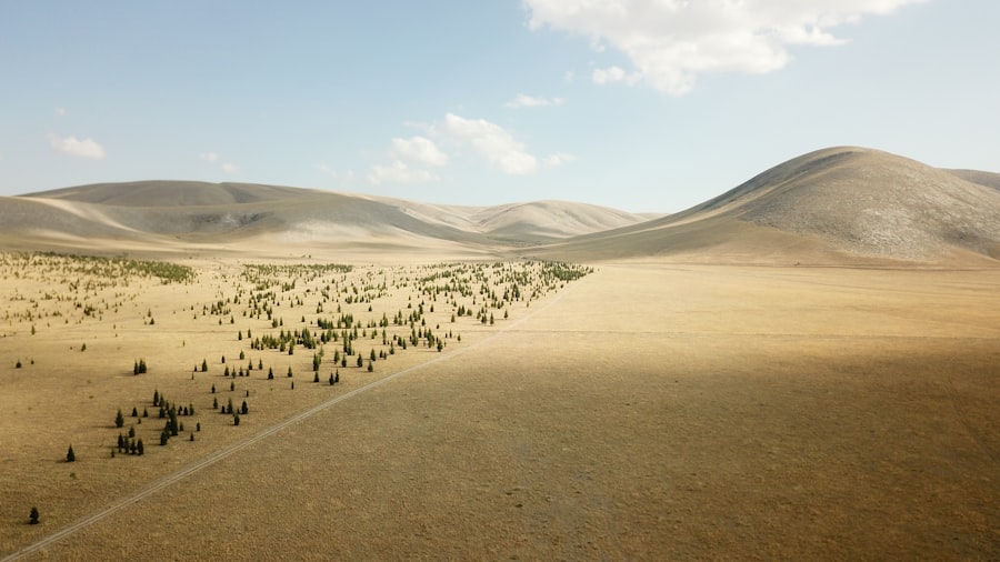 Photo Virtual landscape