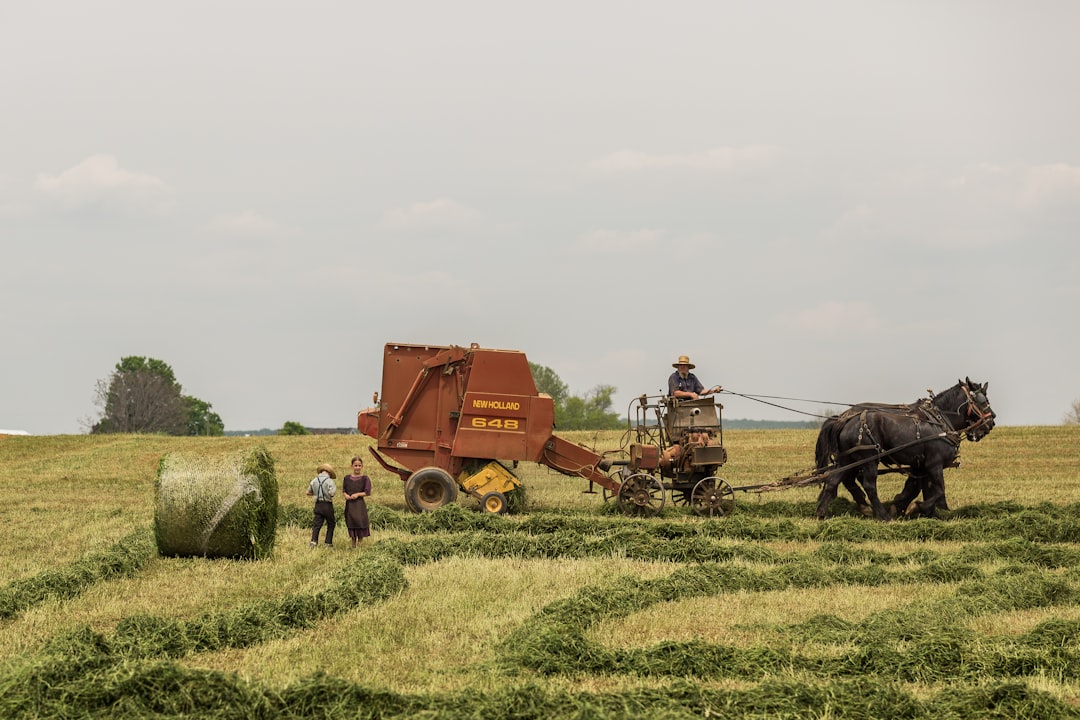 Photo AI-driven Robotics in Agriculture