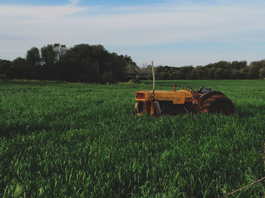 Photo AI-driven Robotics in Agriculture