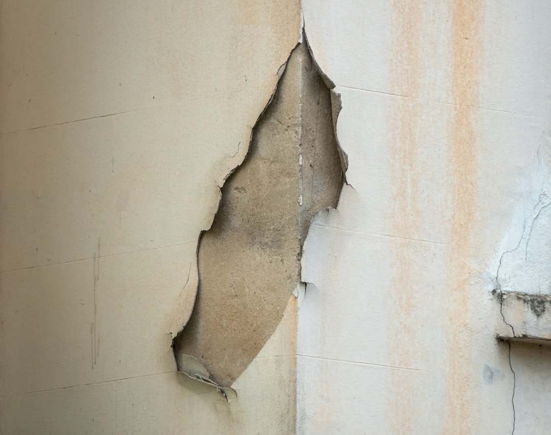 Photo Damage Assessment