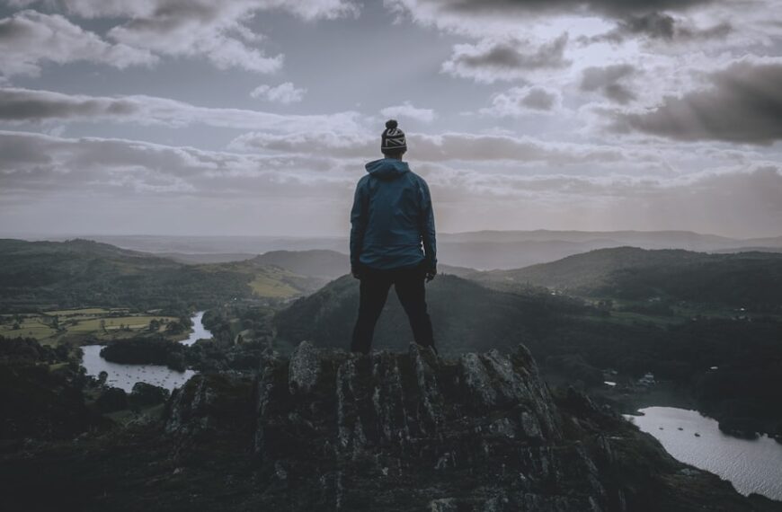 AI-driven Personal Development: Individual Learning Paths in E-Learning Courses, AI-guided Career Counseling & Personalized Mentoring