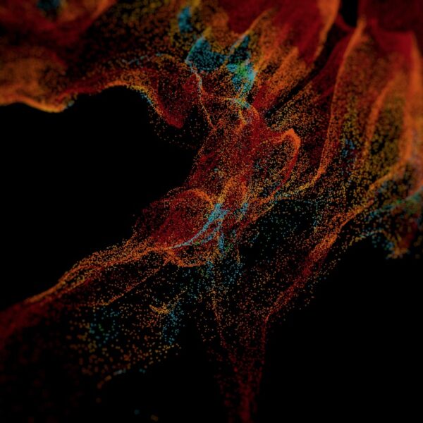 Exploring the Twitch Metaverse: A New Digital Frontier