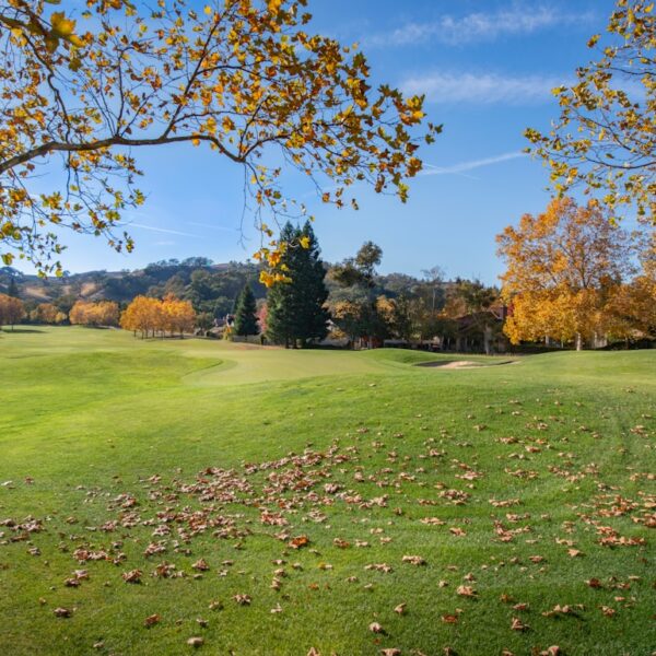 Die Zukunft des Metaverse: Was du wissen solltest