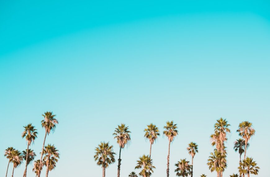 Mastering the Metaverse: Marketing Agency’s Guide