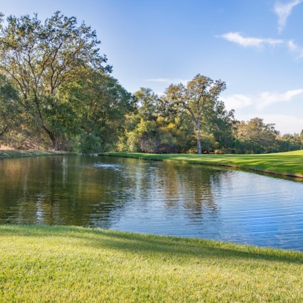 Top Metaverse Marketing Agencies for Virtual Success